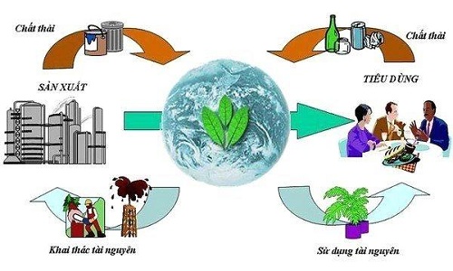 Nhận Báo cáo đánh giá tác động môi trường